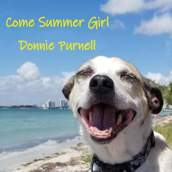 Cover art for Come Summer Girl